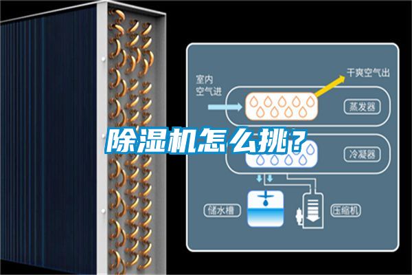 除濕機怎么挑？