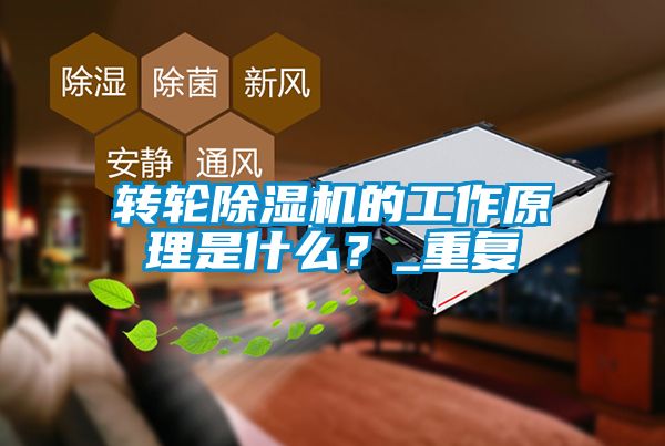 轉輪除濕機的工作原理是什么？_重復