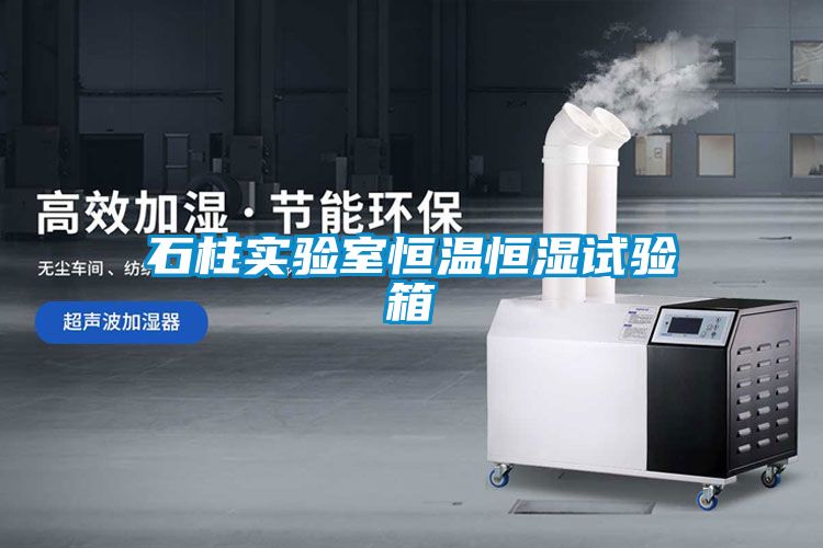 石柱實(shí)驗室恒溫恒濕試驗箱