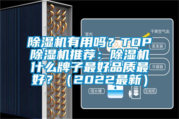 除濕機有用嗎？TOP除濕機推薦：除濕機什么牌子最好品質(zhì)最好？（2022最新）