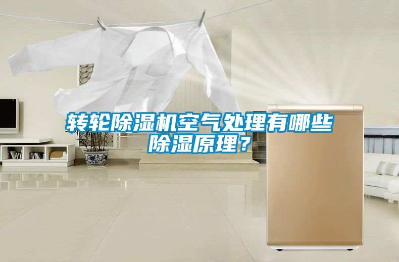 轉輪除濕機空氣處理有哪些除濕原理？