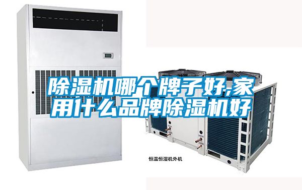 除濕機哪個(gè)牌子好,家用什么品牌除濕機好
