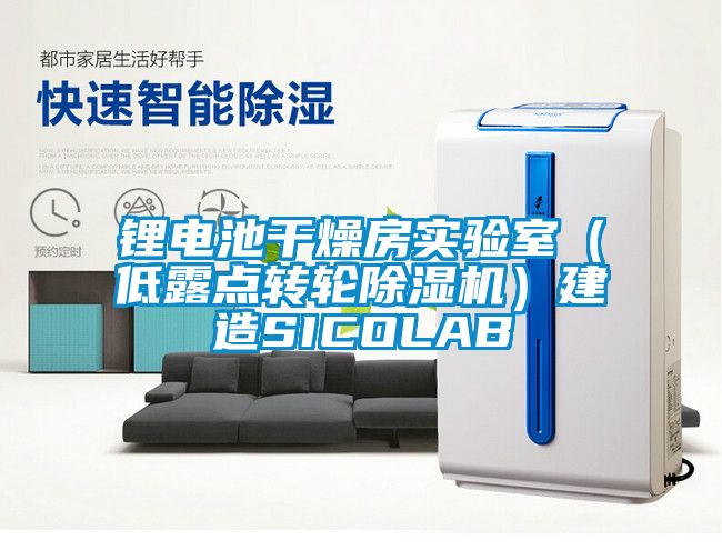 鋰電池干燥房實(shí)驗室（低露點(diǎn)轉輪除濕機）建造SICOLAB