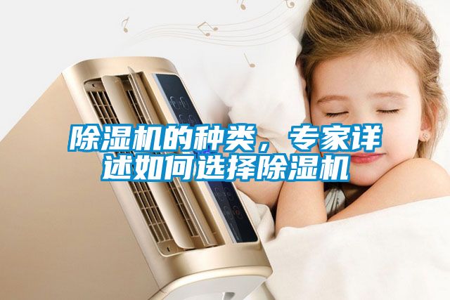 除濕機的種類(lèi)，專(zhuān)家詳述如何選擇除濕機