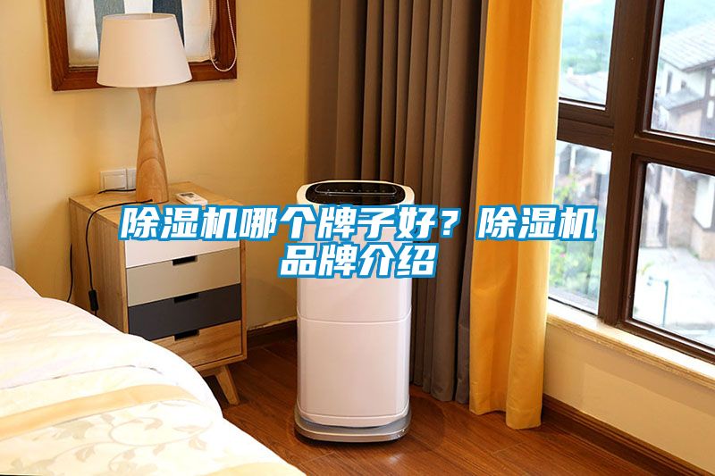 除濕機哪個(gè)牌子好？除濕機品牌介紹