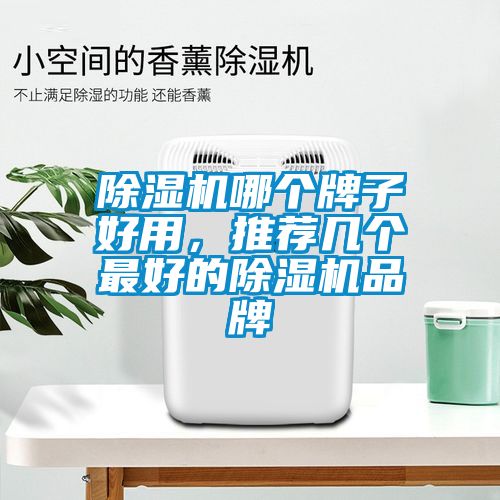 除濕機哪個(gè)牌子好用，推薦幾個(gè)最好的除濕機品牌