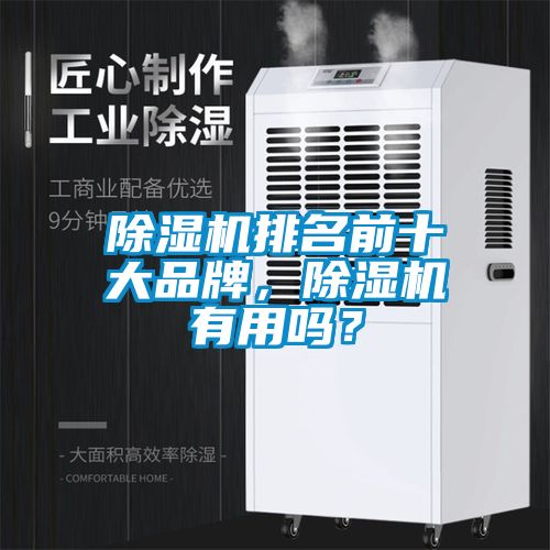 除濕機排名前十大品牌，除濕機有用嗎？