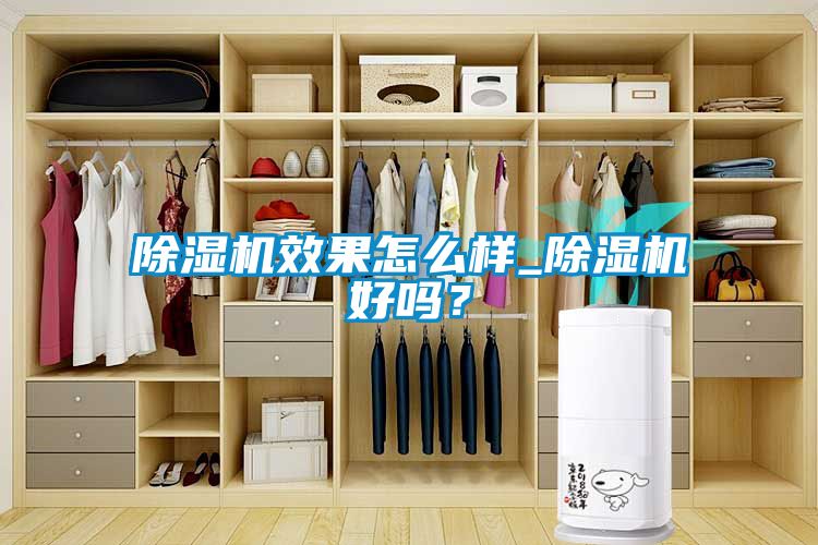 除濕機效果怎么樣_除濕機好嗎？