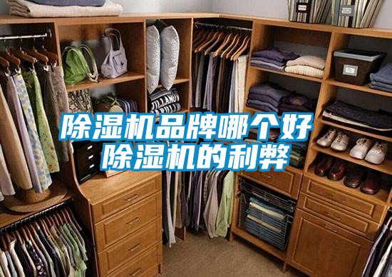 除濕機品牌哪個(gè)好 除濕機的利弊