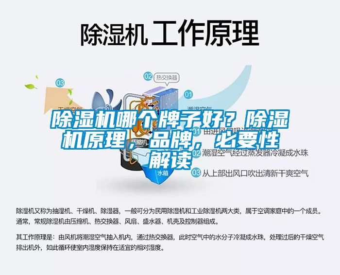 除濕機哪個(gè)牌子好？除濕機原理，品牌，必要性解讀