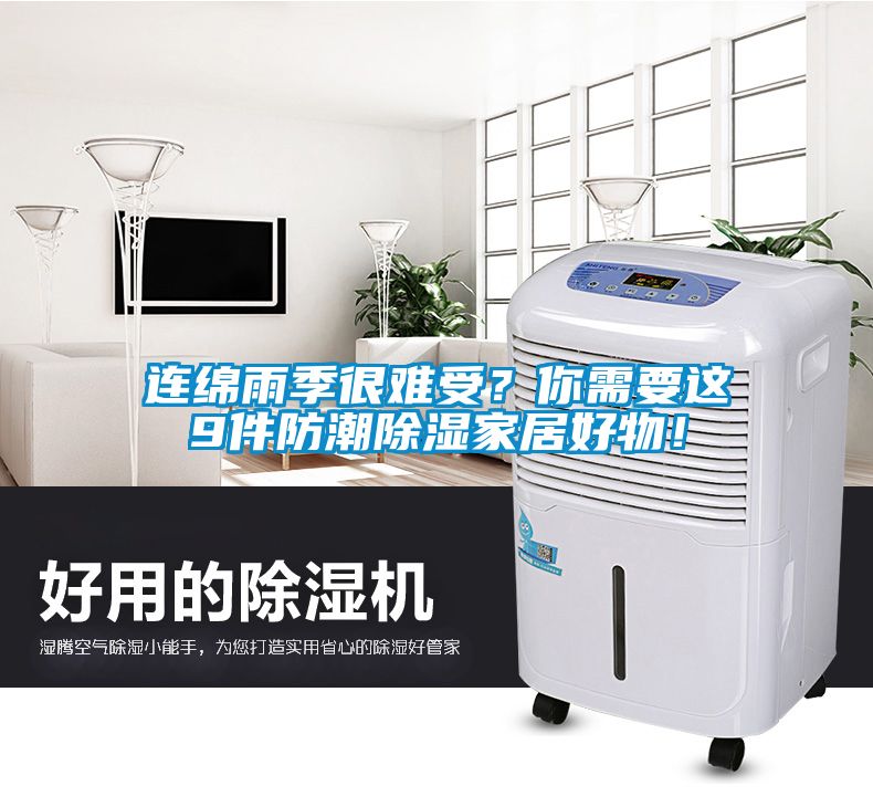 連綿雨季很難受？你需要這9件防潮除濕家居好物！