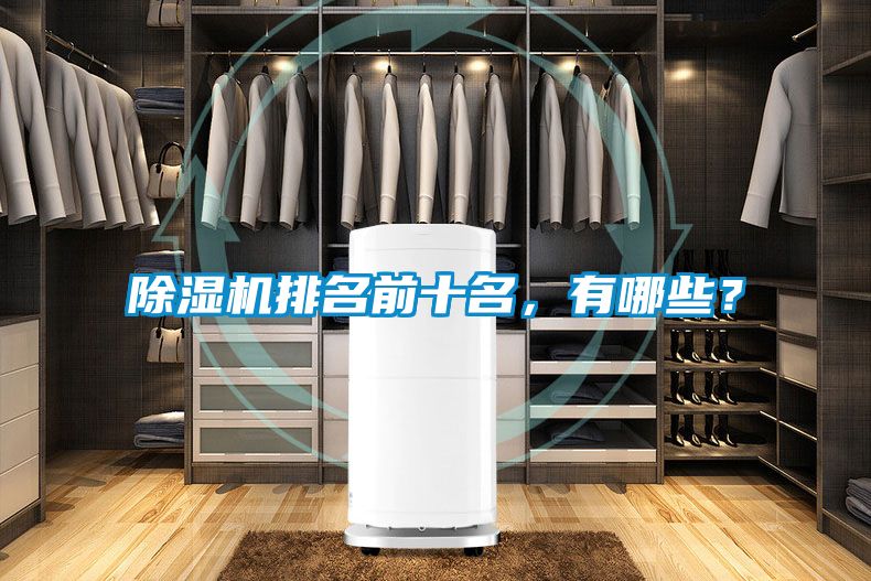 除濕機排名前十名，有哪些？