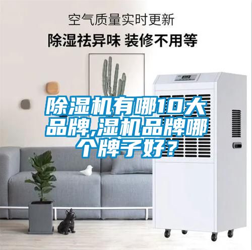 除濕機有哪10大品牌,濕機品牌哪個(gè)牌子好？