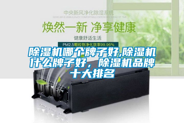 除濕機哪個(gè)牌子好,除濕機什么牌子好，除濕機品牌十大排名