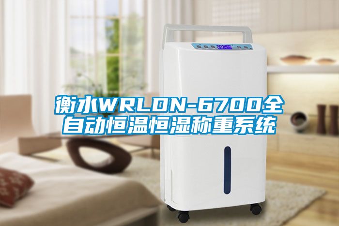 衡水WRLDN-6700全自動(dòng)恒溫恒濕稱(chēng)重系統
