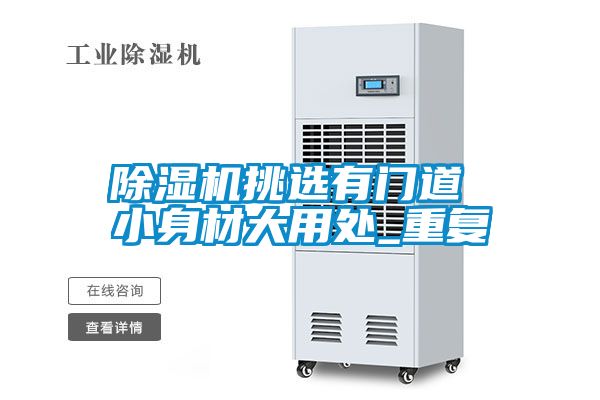 除濕機挑選有門(mén)道 小身材大用處_重復