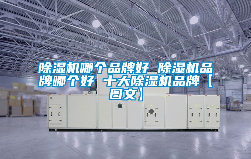 除濕機哪個(gè)品牌好 除濕機品牌哪個(gè)好 十大除濕機品牌【圖文】