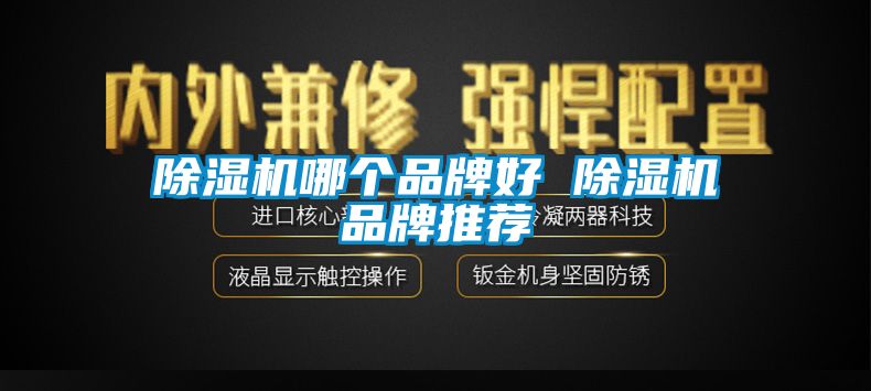 除濕機哪個(gè)品牌好 除濕機品牌推薦