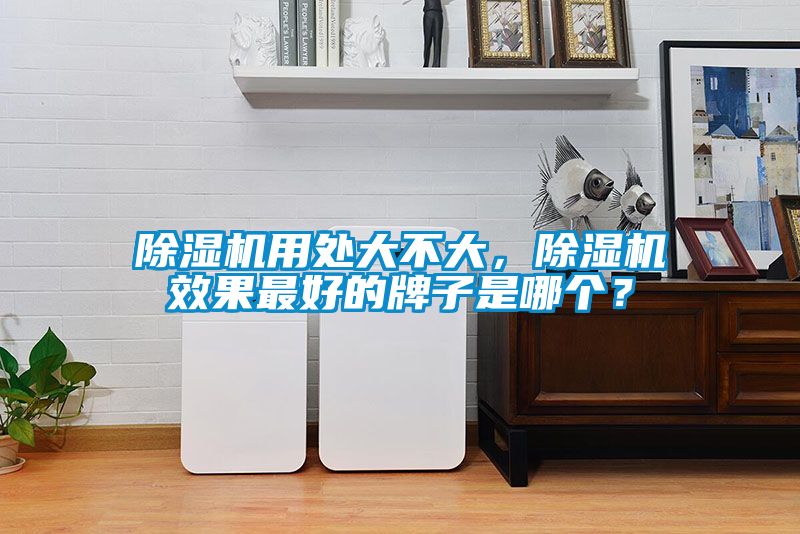 除濕機用處大不大，除濕機效果最好的牌子是哪個(gè)？