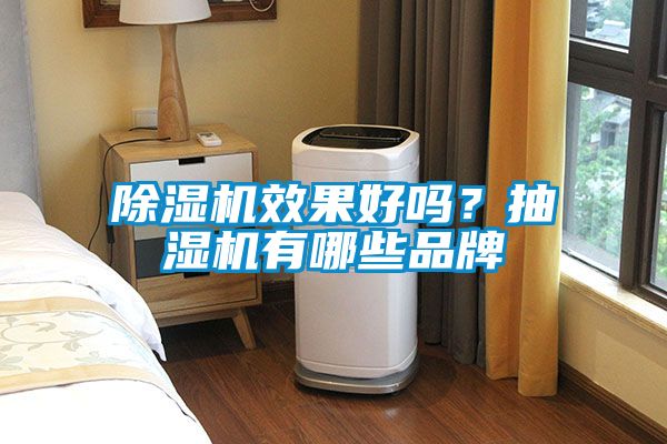 除濕機效果好嗎？抽濕機有哪些品牌