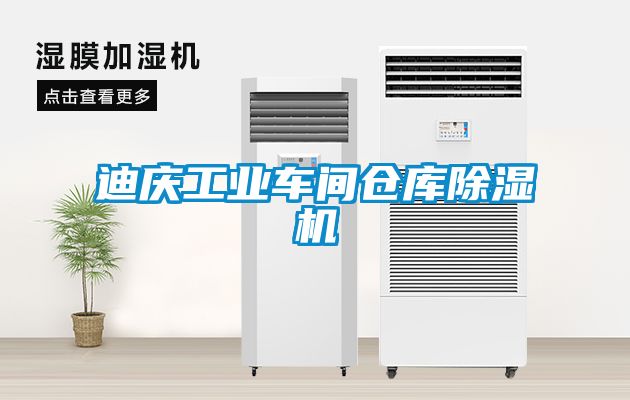 迪慶工業(yè)車(chē)間倉庫除濕機