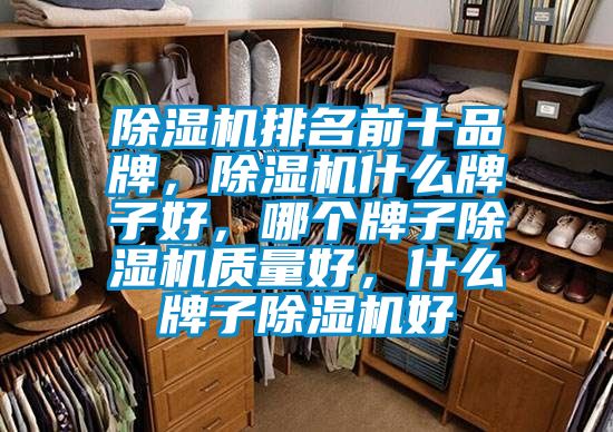 除濕機排名前十品牌，除濕機什么牌子好，哪個(gè)牌子除濕機質(zhì)量好，什么牌子除濕機好