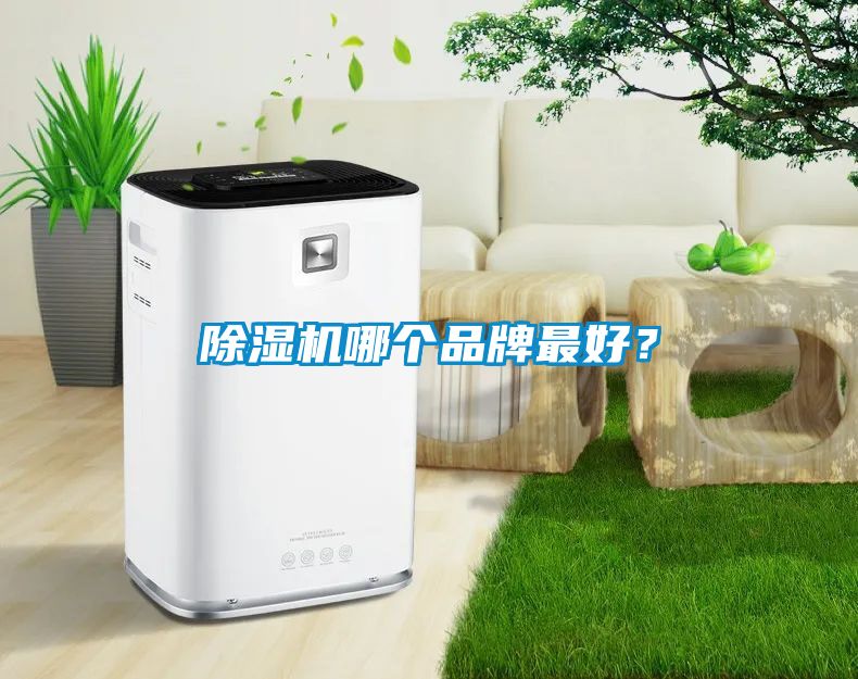 除濕機哪個(gè)品牌最好？