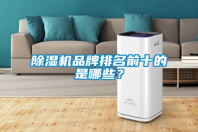除濕機品牌排名前十的是哪些？