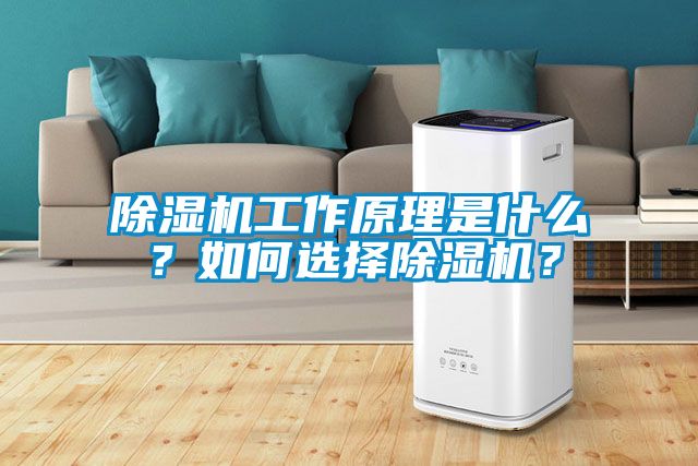 除濕機工作原理是什么？如何選擇除濕機？