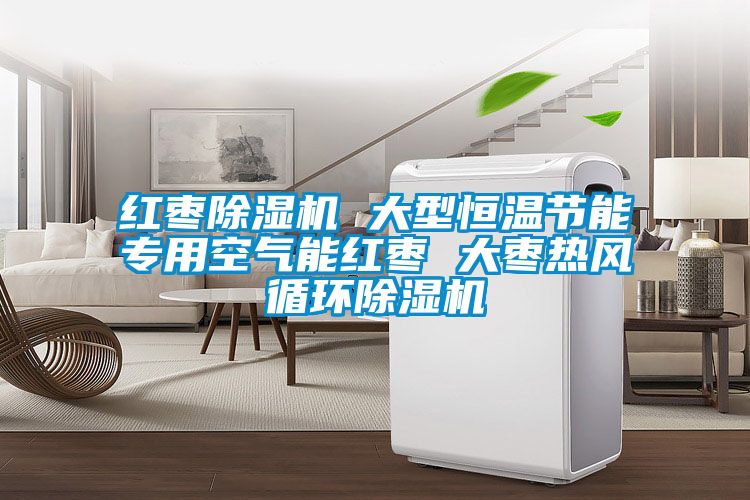紅棗除濕機 大型恒溫節能專(zhuān)用空氣能紅棗 大棗熱風(fēng)循環(huán)除濕機