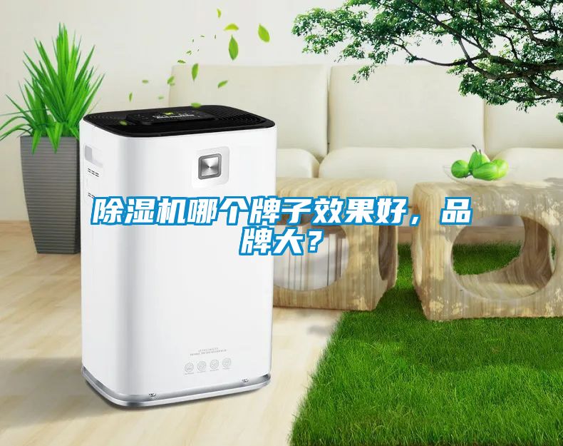 除濕機哪個(gè)牌子效果好，品牌大？