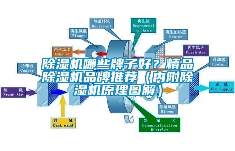 除濕機哪些牌子好？精品除濕機品牌推薦（內附除濕機原理圖解）