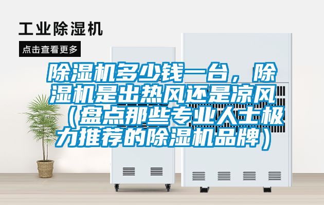 除濕機多少錢(qián)一臺，除濕機是出熱風(fēng)還是涼風(fēng)（盤(pán)點(diǎn)那些專(zhuān)業(yè)人士極力推薦的除濕機品牌）