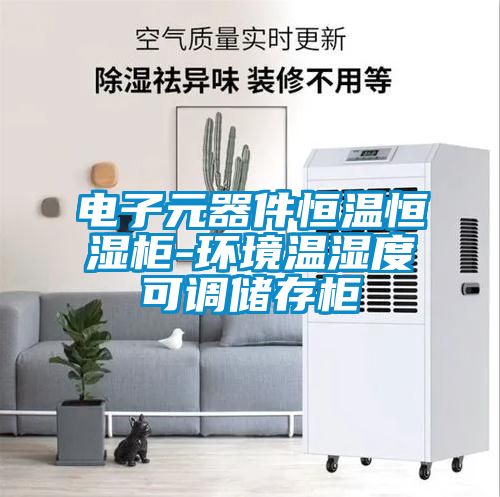 電子元器件恒溫恒濕柜-環(huán)境溫濕度可調儲存柜