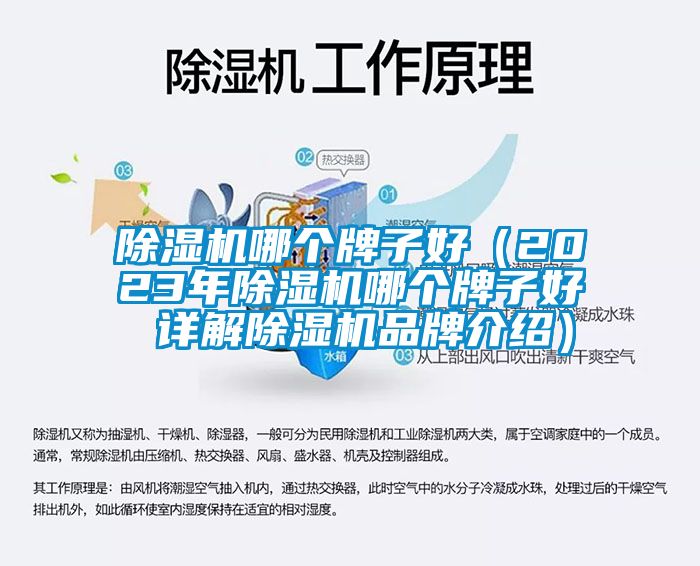 除濕機哪個(gè)牌子好（2023年除濕機哪個(gè)牌子好 詳解除濕機品牌介紹）