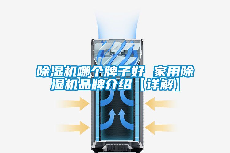 除濕機哪個(gè)牌子好 家用除濕機品牌介紹【詳解】