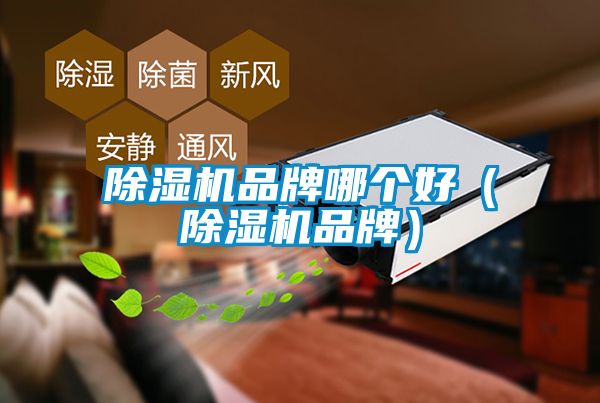 除濕機品牌哪個(gè)好（除濕機品牌）