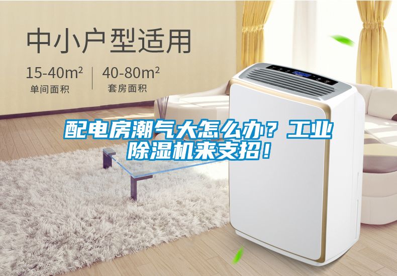 配電房潮氣大怎么辦？工業(yè)除濕機來(lái)支招！