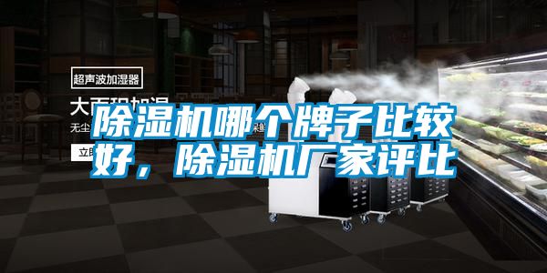 除濕機哪個(gè)牌子比較好，除濕機廠(chǎng)家評比