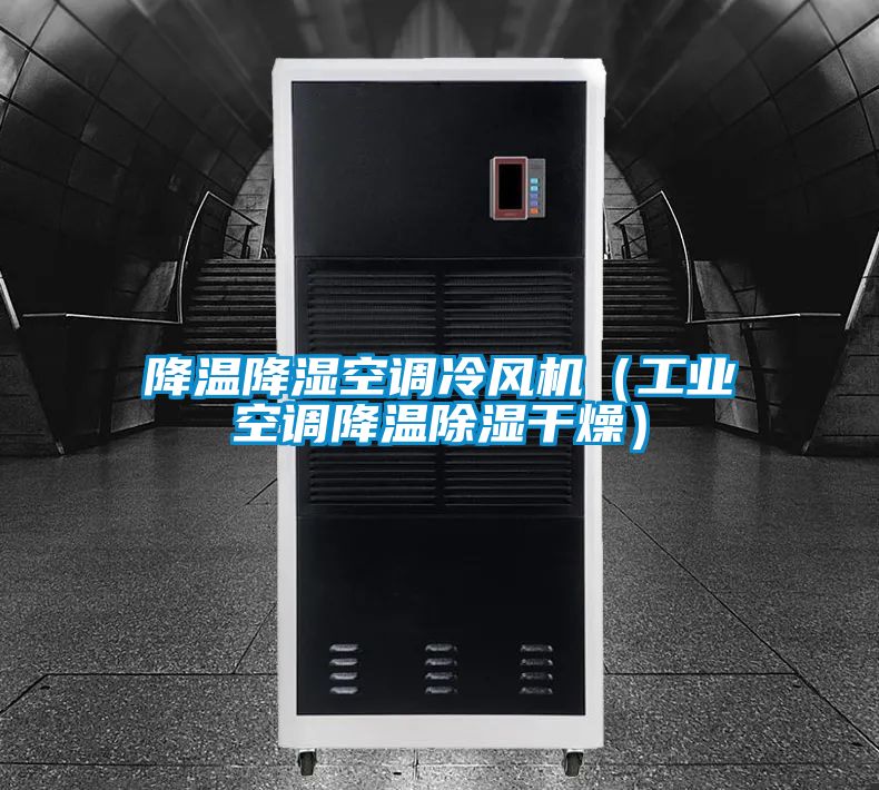 降溫降濕空調冷風(fēng)機（工業(yè)空調降溫除濕干燥）