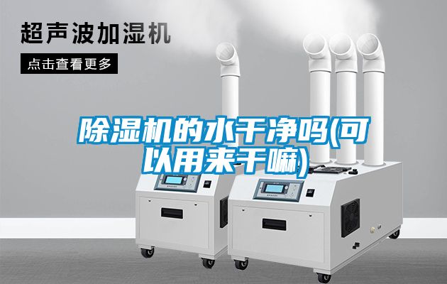 除濕機的水干凈嗎(可以用來(lái)干嘛)