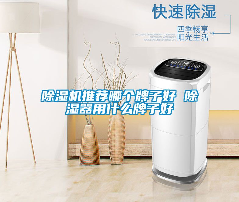 除濕機推薦哪個(gè)牌子好 除濕器用什么牌子好