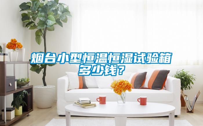 煙臺小型恒溫恒濕試驗箱多少錢(qián)？