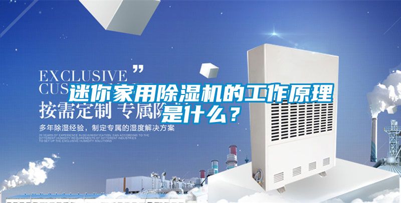 迷你家用除濕機的工作原理是什么？