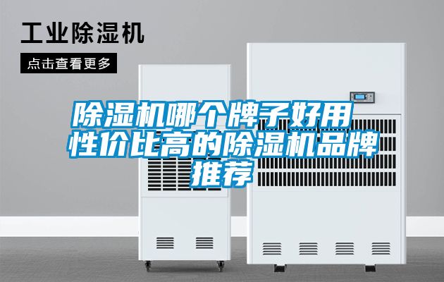 除濕機哪個(gè)牌子好用 性?xún)r(jià)比高的除濕機品牌推薦