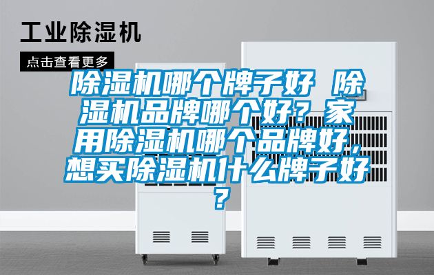除濕機哪個(gè)牌子好 除濕機品牌哪個(gè)好？家用除濕機哪個(gè)品牌好，想買(mǎi)除濕機什么牌子好？
