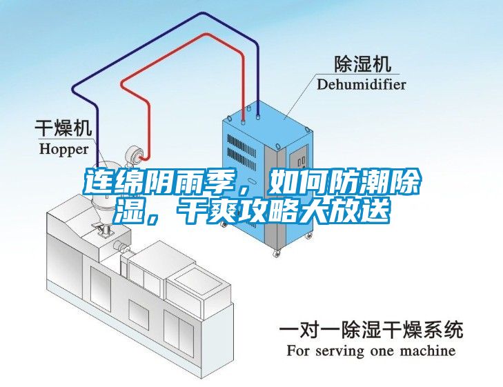 連綿陰雨季，如何防潮除濕，干爽攻略大放送