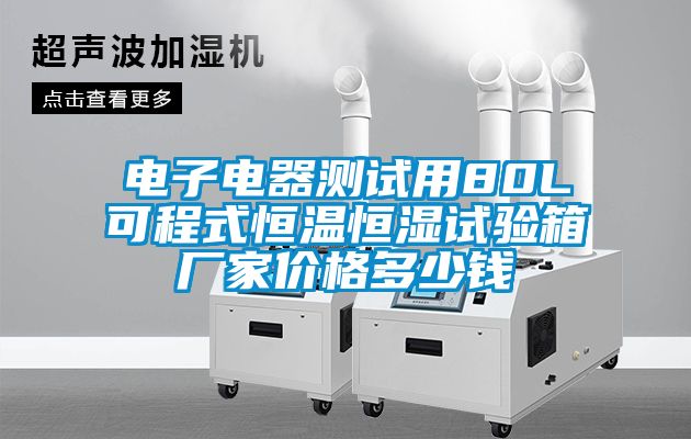 電子電器測試用80L可程式恒溫恒濕試驗箱廠(chǎng)家價(jià)格多少錢(qián)