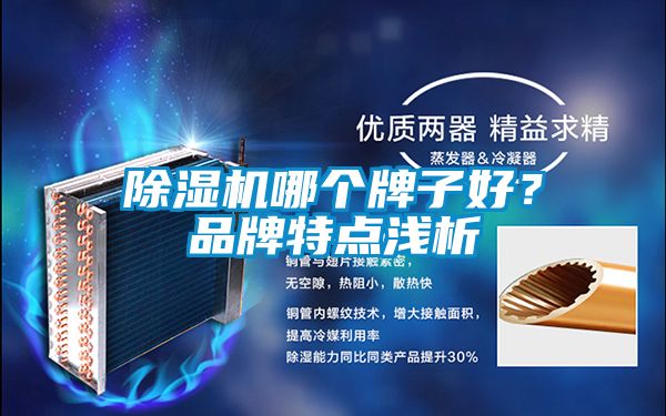 除濕機哪個(gè)牌子好？品牌特點(diǎn)淺析