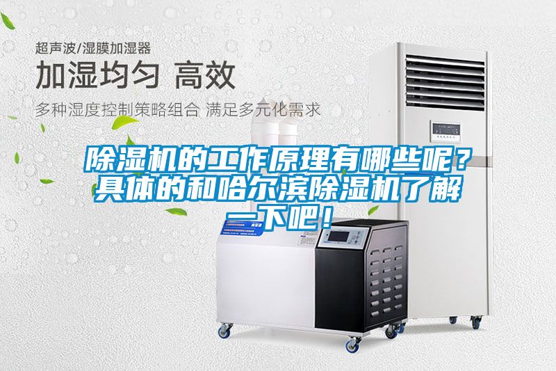 除濕機的工作原理有哪些呢？具體的和哈爾濱除濕機了解一下吧！